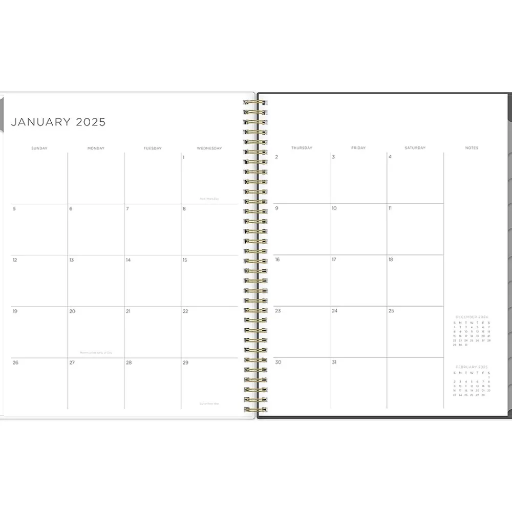 2025 Planners|Blue Sky 2025 Kelly Ventura Midnight Garden 8.5" x 11" Weekly & Monthly Planner, Plastic Cover, Multicolor (140944-25)