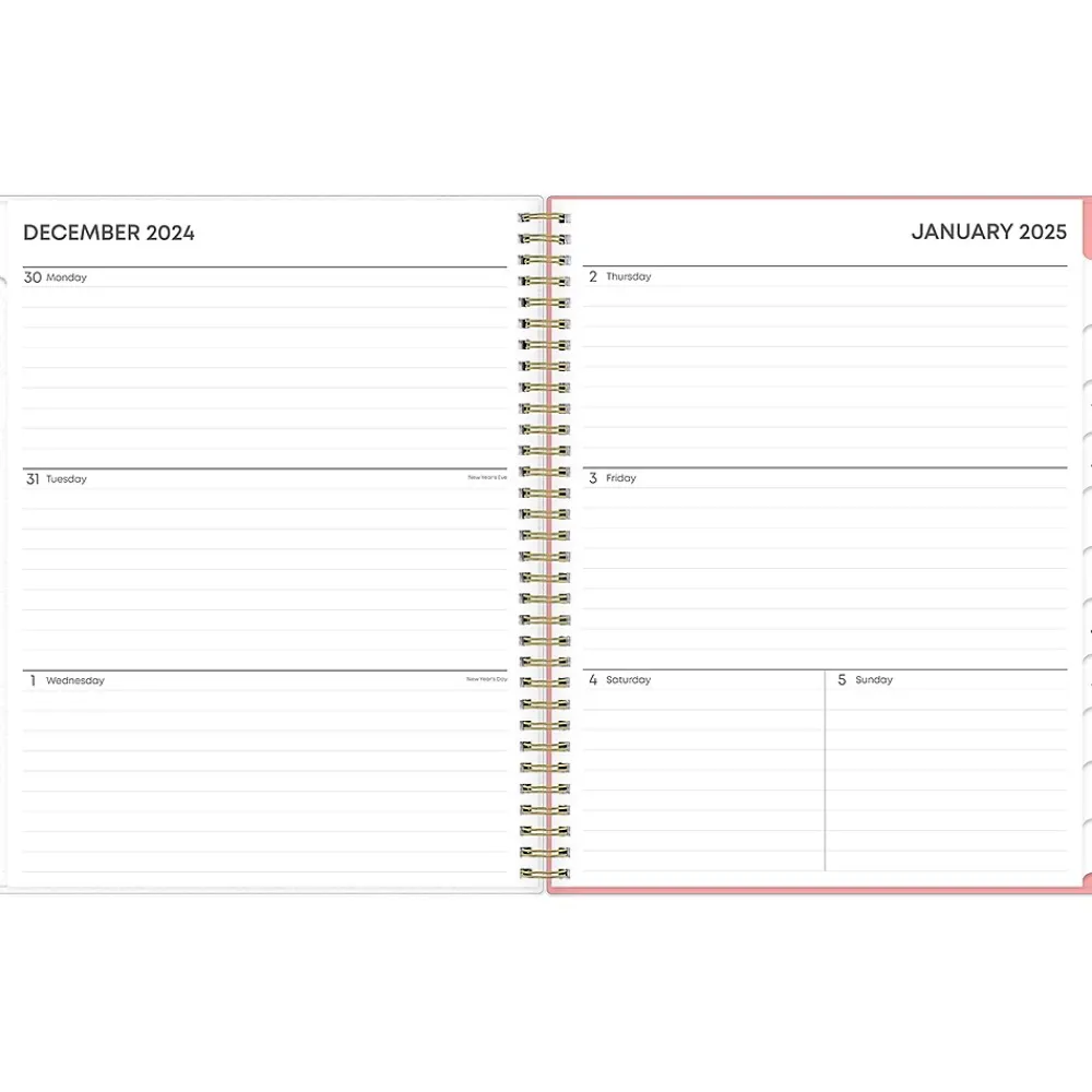 2025 Planners|Blue Sky 2025 Lanissa 8.5" x 11" Weekly & Monthly Planner, Plastic Cover, Multicolor (152255)