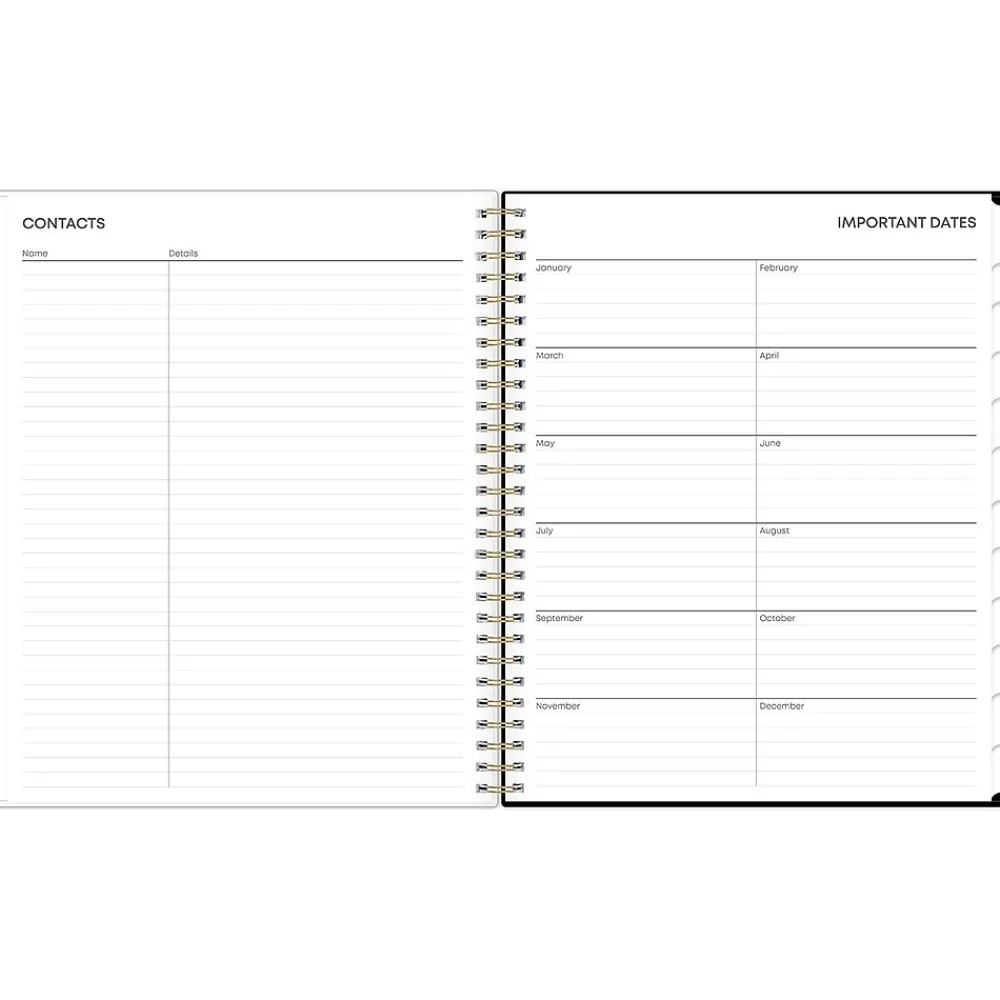 2025 Planners|Blue Sky 2025 Lolani 8" x 10" Monthly Planner, Plastic Cover, Green/Gray (147966)