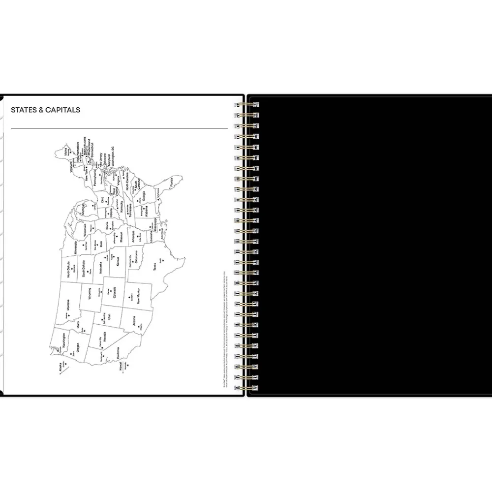2025 Planners|Blue Sky 2025 Lolani 8" x 10" Monthly Planner, Plastic Cover, Green/Gray (147966)