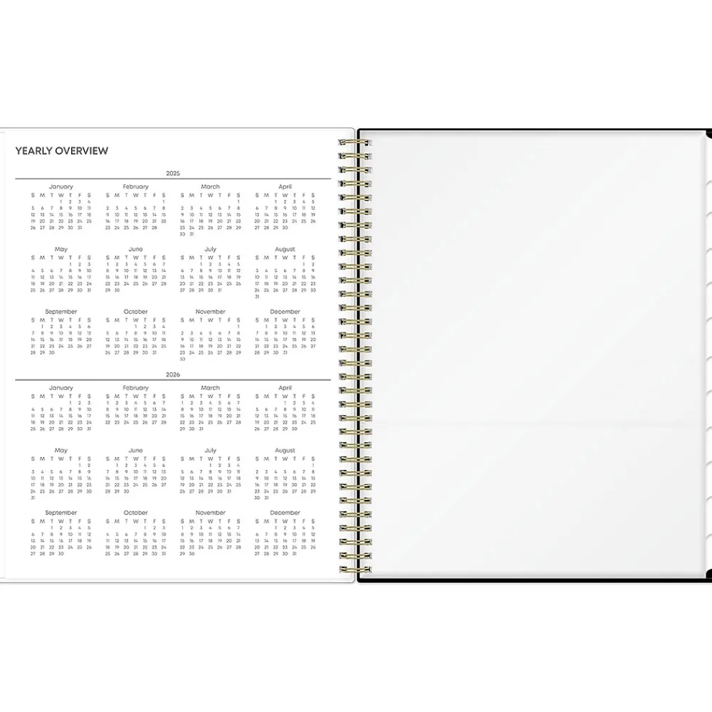 2025 Planners|Blue Sky 2025 Lolani 8.5" x 11" Weekly & Monthly Planner, Plastic Cover, Green/Gray (147968)