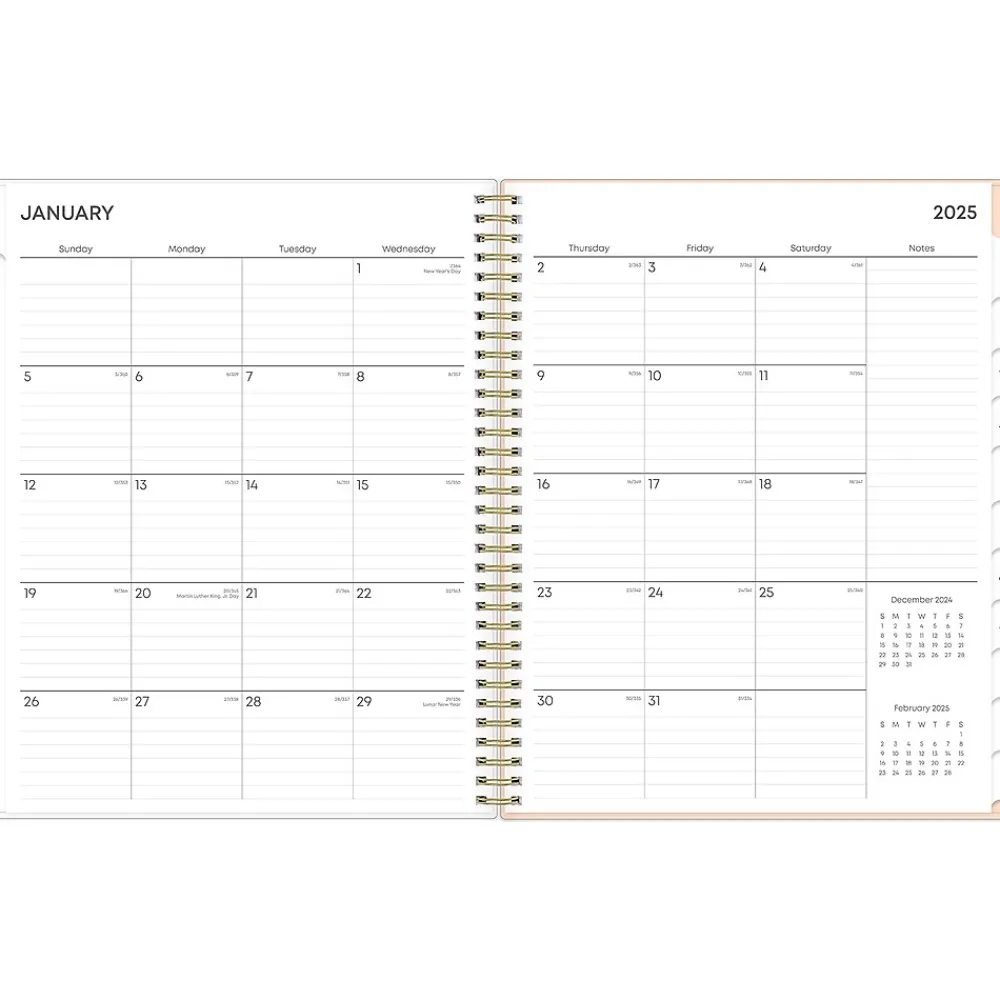 2025 Planners|Blue Sky 2025 Natalya 8.5" x 11" Weekly & Monthly Planner, Plastic Cover, Pink/White (148764-25)
