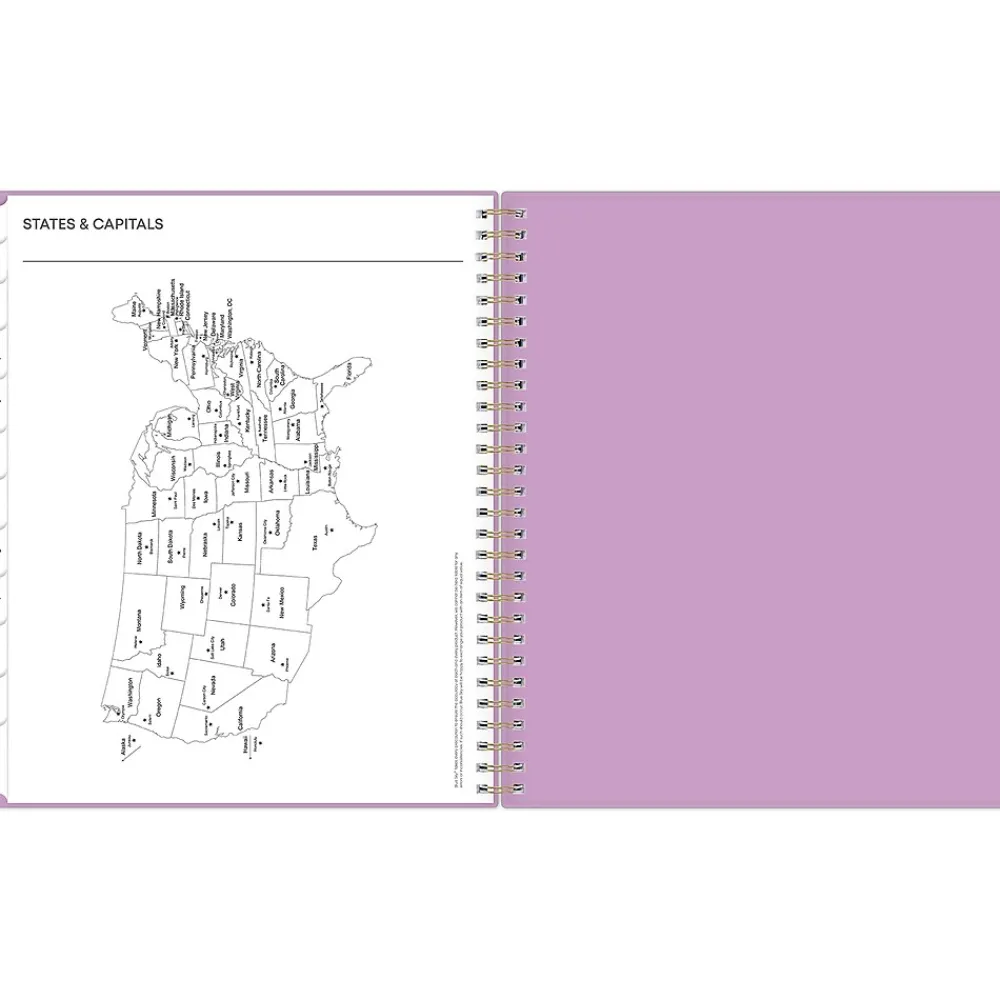 2025 Planners|Blue Sky 2025 Orchid 8" x 10" Monthly Planner, Plastic Cover, Purple (147941)