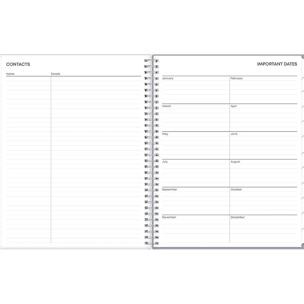 2025 Planners|Blue Sky 2025 Rue Du Flore 8.5" x 11" Weekly & Monthly Planner, Plastic Cover, Green/Gray (101602-25)