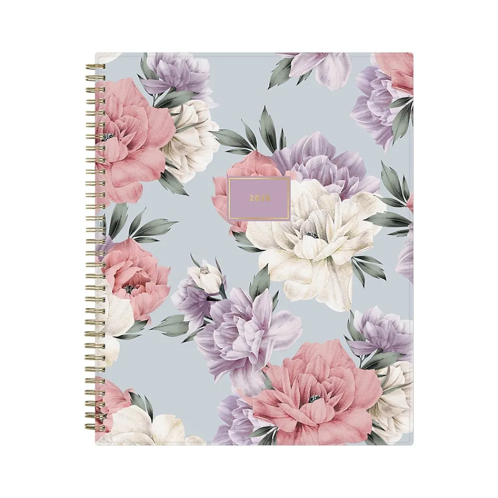2025 Planners|Blue Sky 2025 Tula 8.5" x 11" Weekly & Monthly Planner, Plastic Cover, Multicolor (143971-25)