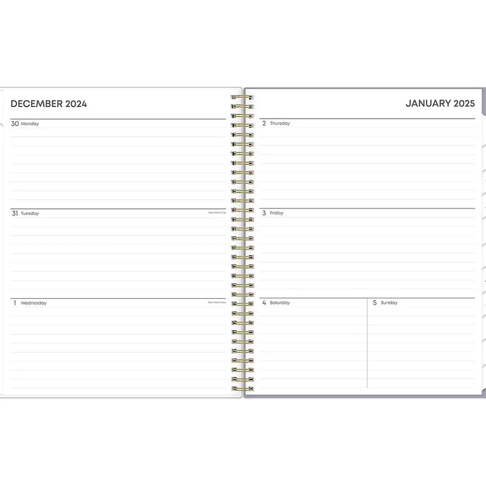 2025 Planners|Blue Sky 2025 Tula 8.5" x 11" Weekly & Monthly Planner, Plastic Cover, Multicolor (143971-25)