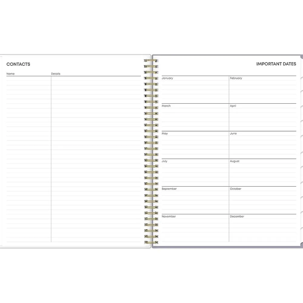 2025 Planners|Blue Sky 2025 Tula 8.5" x 11" Weekly & Monthly Planner, Plastic Cover, Multicolor (143971-25)