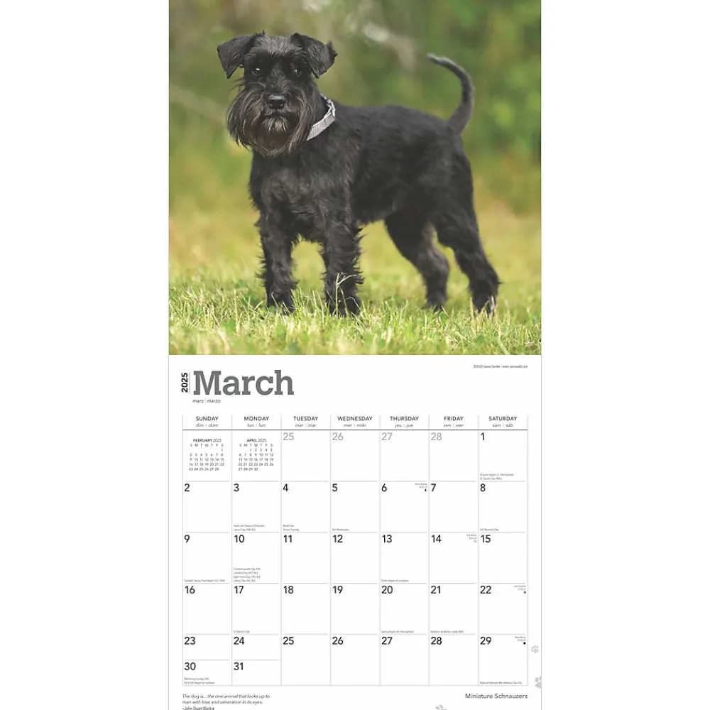 2025 Calendars|BrownTrout 2025 ature Schnauzers 12" x 12" Monthly Wall Calendar (9781975477684)