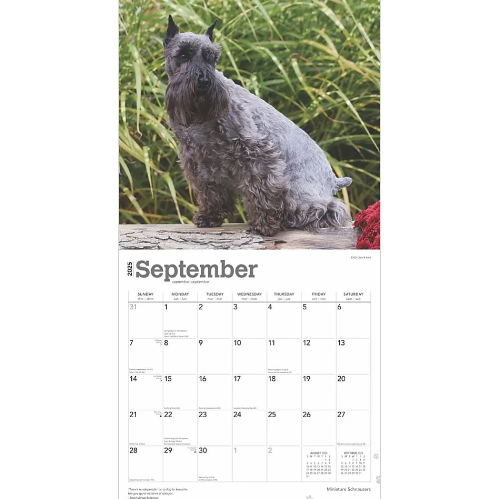 2025 Calendars|BrownTrout 2025 ature Schnauzers 12" x 12" Monthly Wall Calendar (9781975477684)