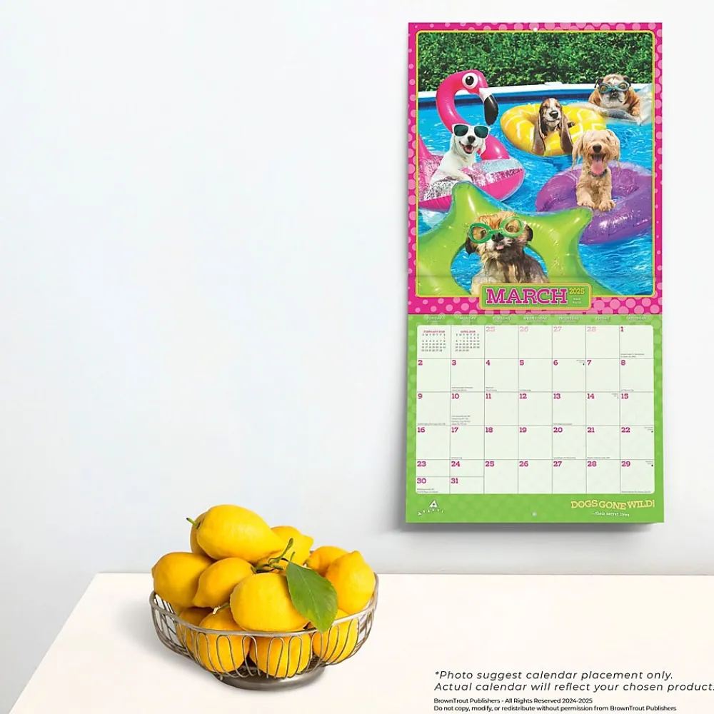 2025 Calendars|BrownTrout 2025 Avanti Dogs Gone Wild 12" x 12" Monthly Wall Calendar (9781975479671)