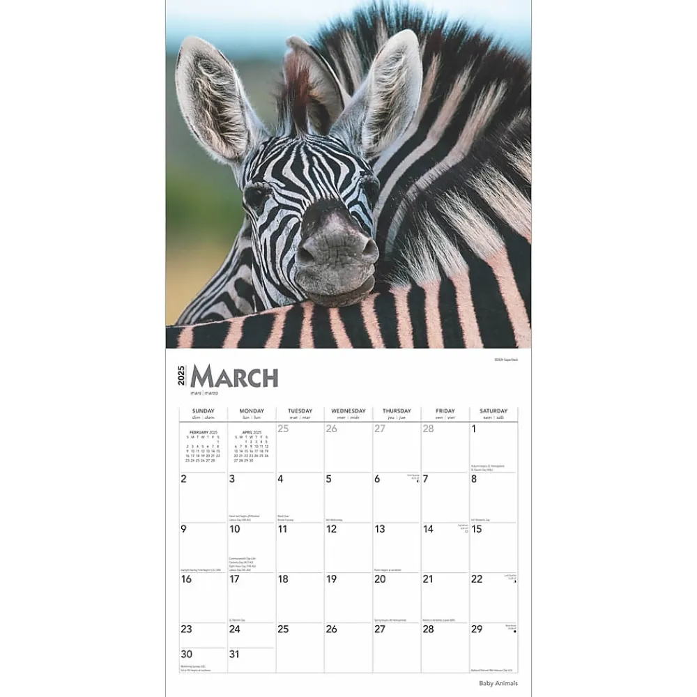 2025 Calendars|BrownTrout 2025 Baby Animals 12" x 12" Monthly Square Wall Calendar (9781975476564)