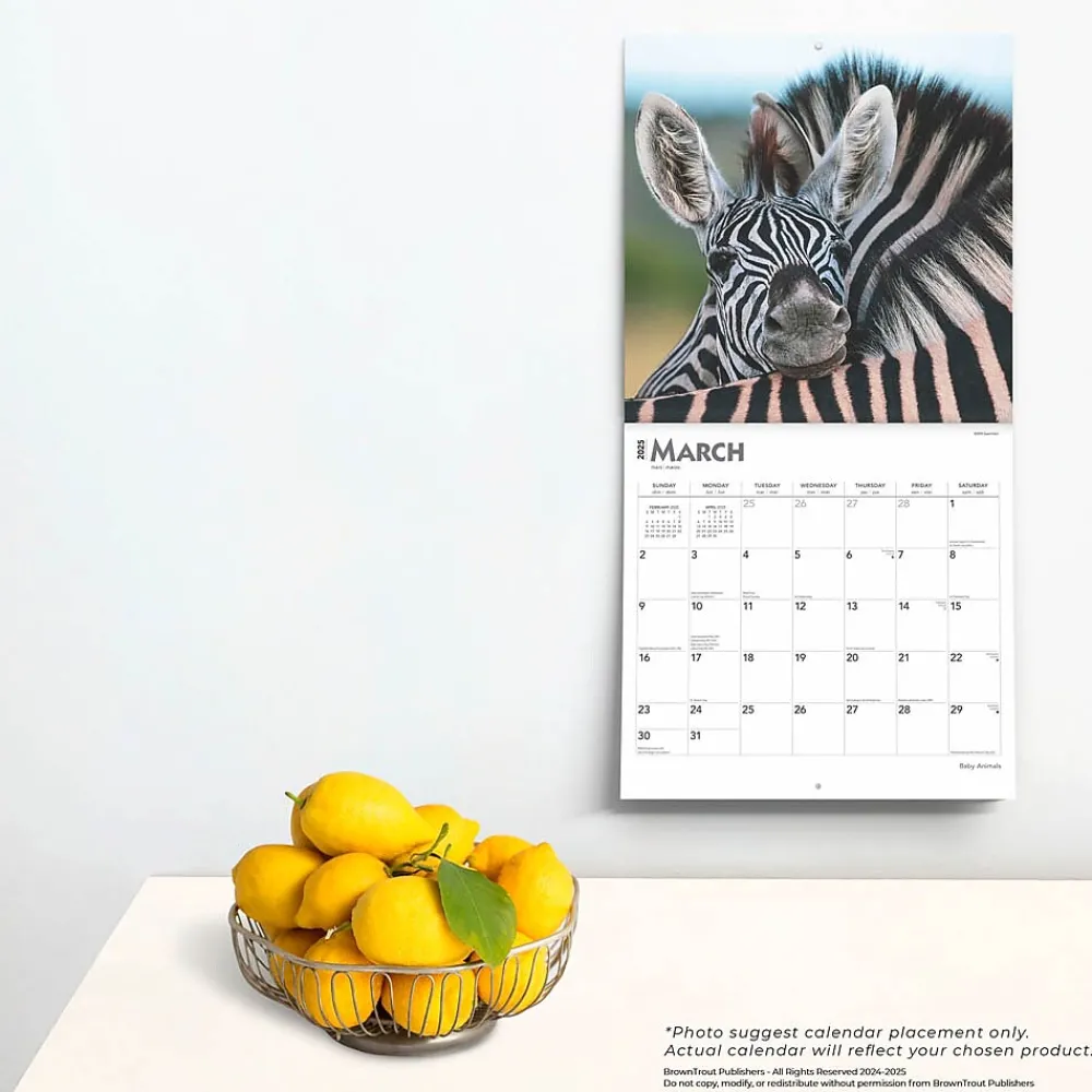 2025 Calendars|BrownTrout 2025 Baby Animals 12" x 12" Monthly Square Wall Calendar (9781975476564)
