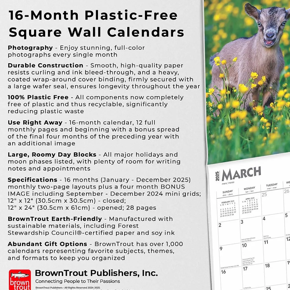 2025 Calendars|BrownTrout 2025 Baby Goats 12" x 12" Monthly Wall Calendar (9781975476571)