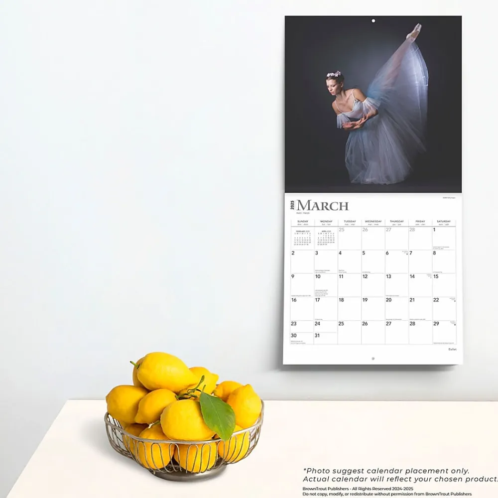 2025 Calendars|BrownTrout 2025 Ballet 12" x 12" Monthly Square Wall Calendar (9781975474485)