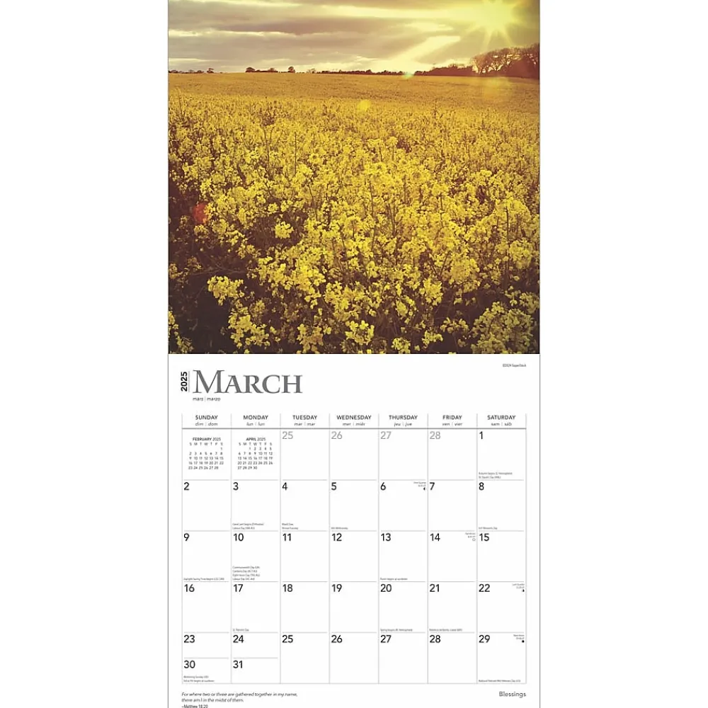 2025 Calendars|BrownTrout 2025 Blessings 12" x 12" Monthly Wall Calendar (9781975476656)