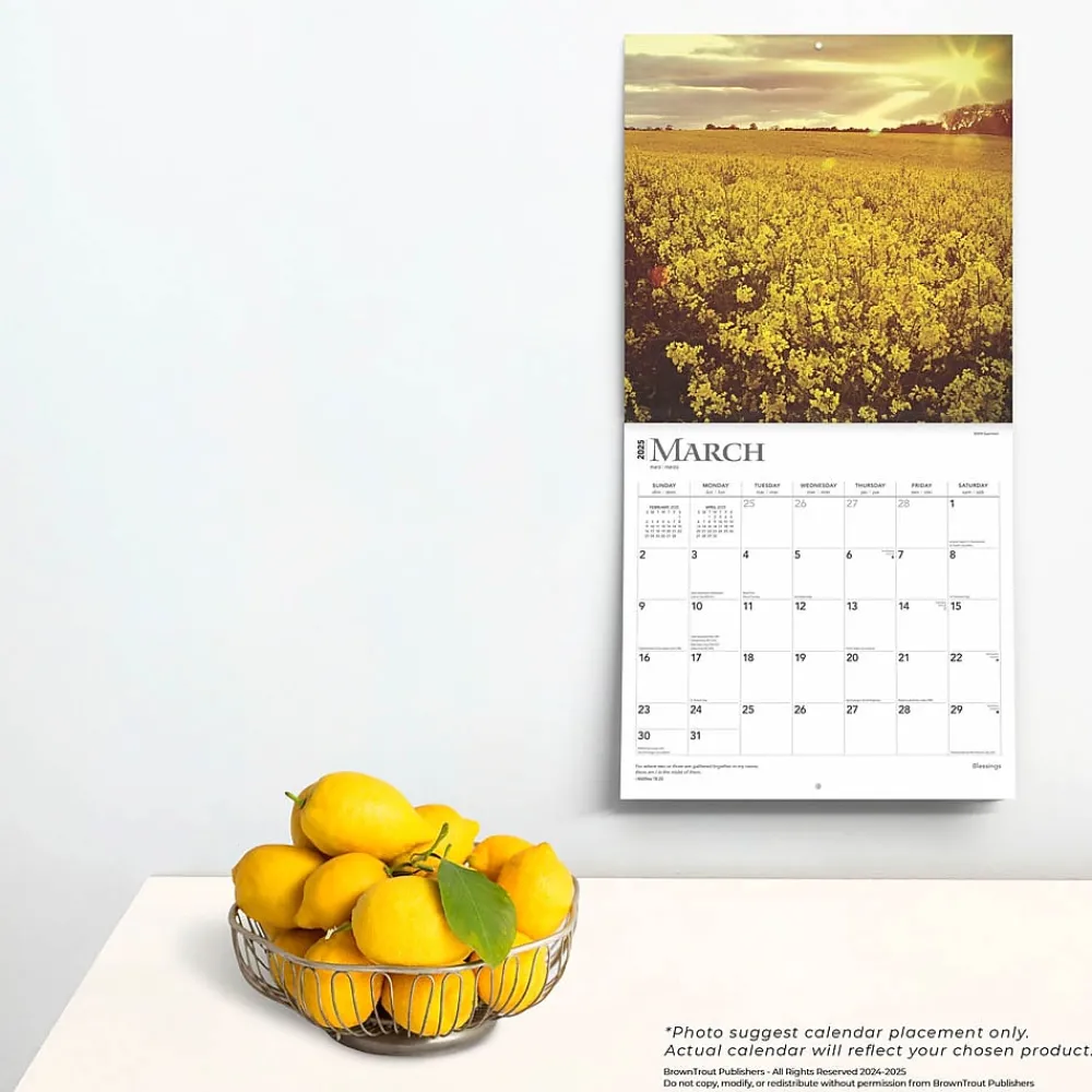 2025 Calendars|BrownTrout 2025 Blessings 12" x 12" Monthly Wall Calendar (9781975476656)