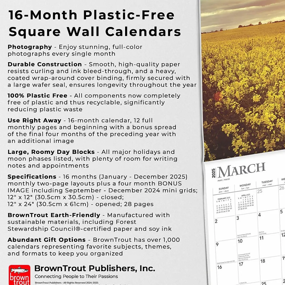 2025 Calendars|BrownTrout 2025 Blessings 12" x 12" Monthly Wall Calendar (9781975476656)
