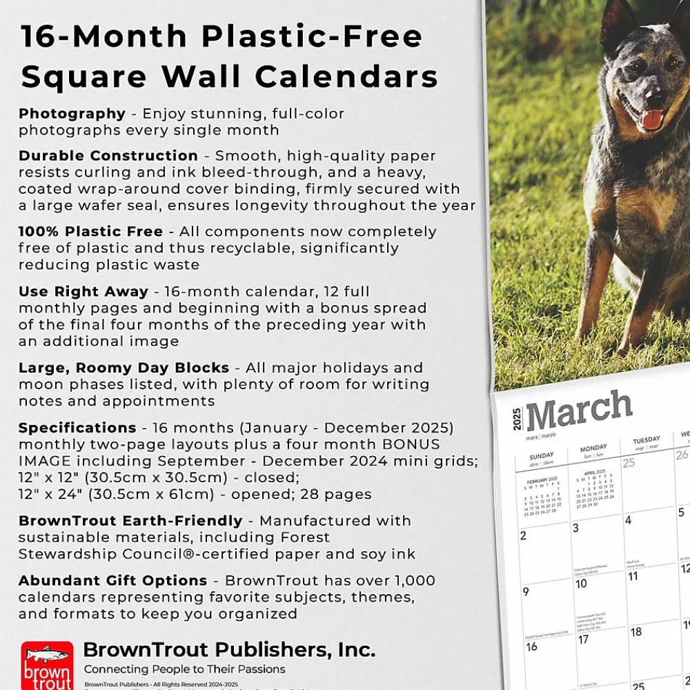 2025 Calendars|BrownTrout 2025 Blue Heelers 12" x 12" Monthly Wall Calendar (9781975476663)