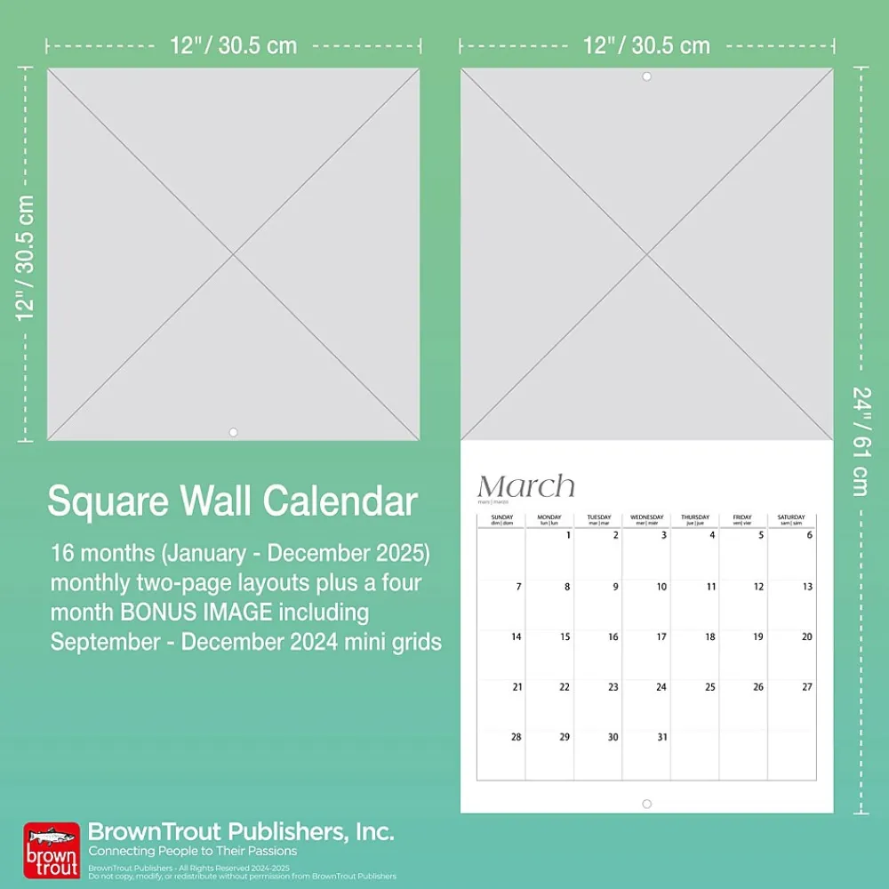 2025 Calendars|BrownTrout 2025 Boston Terrier Puppies 12" x 12" Monthly Wall Calendar (9781975476694)