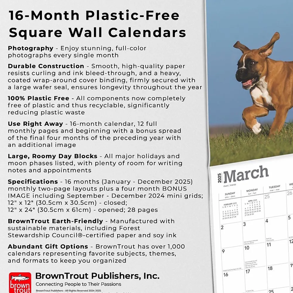 2025 Calendars|BrownTrout 2025 Boxer Puppies 12" x 12" Monthly Wall Calendar (9781975476717)