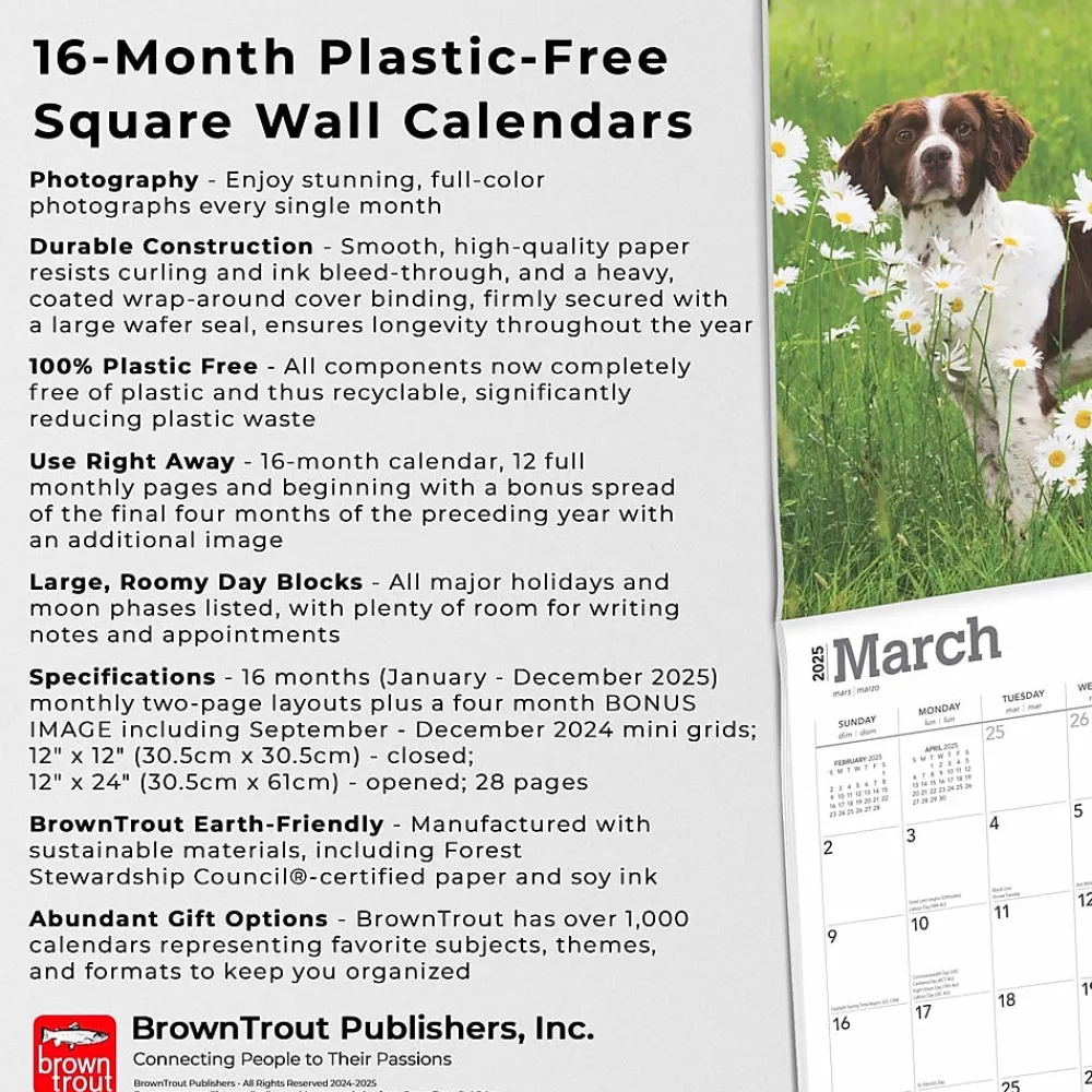 2025 Calendars|BrownTrout 2025 Brittanys 12" x 12" Monthly Wall Calendar (9781975476731)