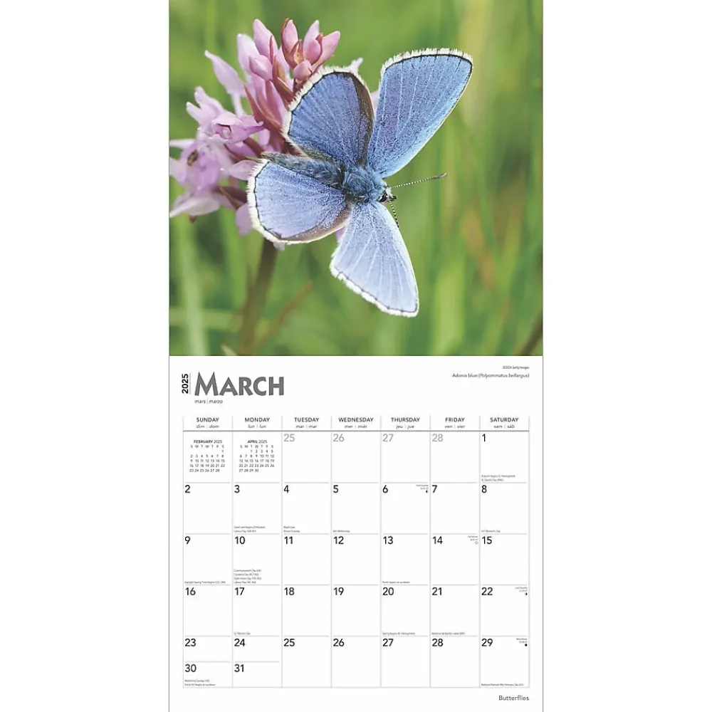 2025 Calendars|BrownTrout 2025 Butterflies 12" x 12" Monthly Wall Calendar (9781975476762)
