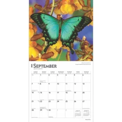 2025 Calendars|BrownTrout 2025 Butterflies 12