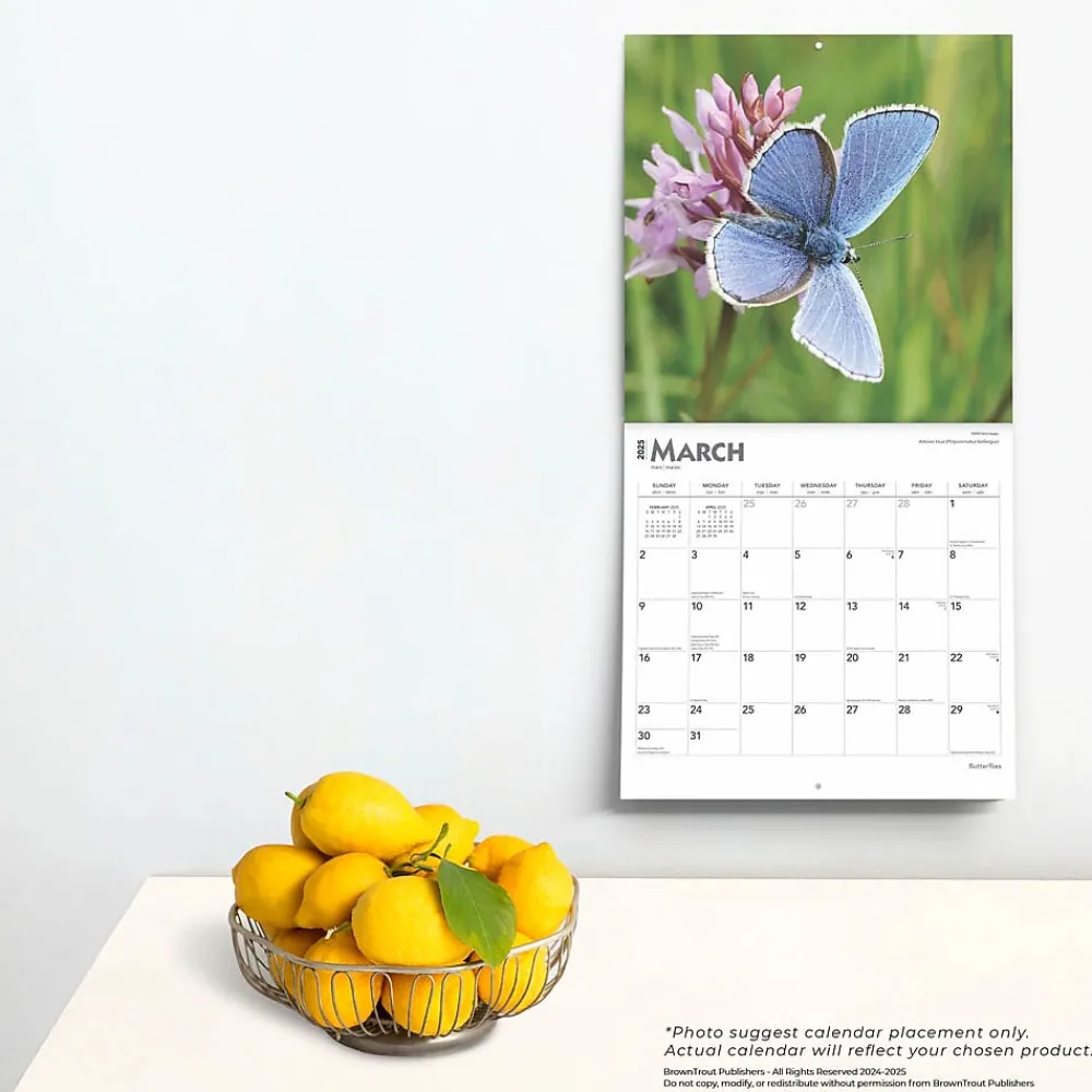 2025 Calendars|BrownTrout 2025 Butterflies 12" x 12" Monthly Wall Calendar (9781975476762)