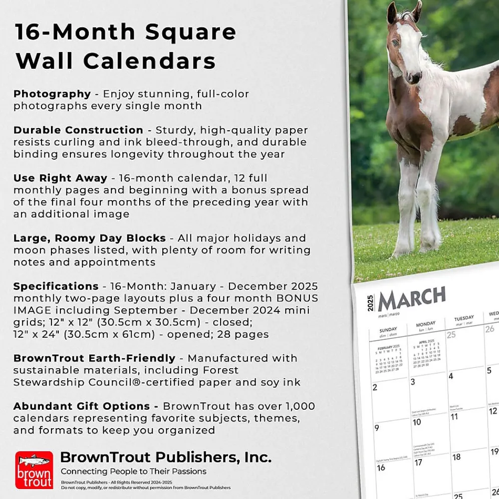 2025 Calendars|BrownTrout 2025 Colts and Fillies 12" x 12" Monthly Wall Calendar (9781975483722)