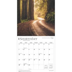 2025 Calendars|BrownTrout 2025 Country Roads 12