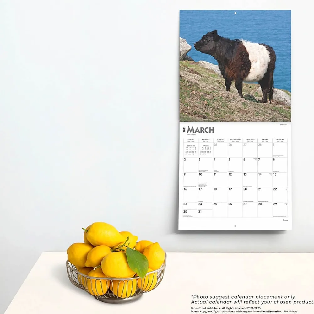 2025 Calendars|BrownTrout 2025 Cows 12" x 12" Monthly Wall Calendar (9781975476892)