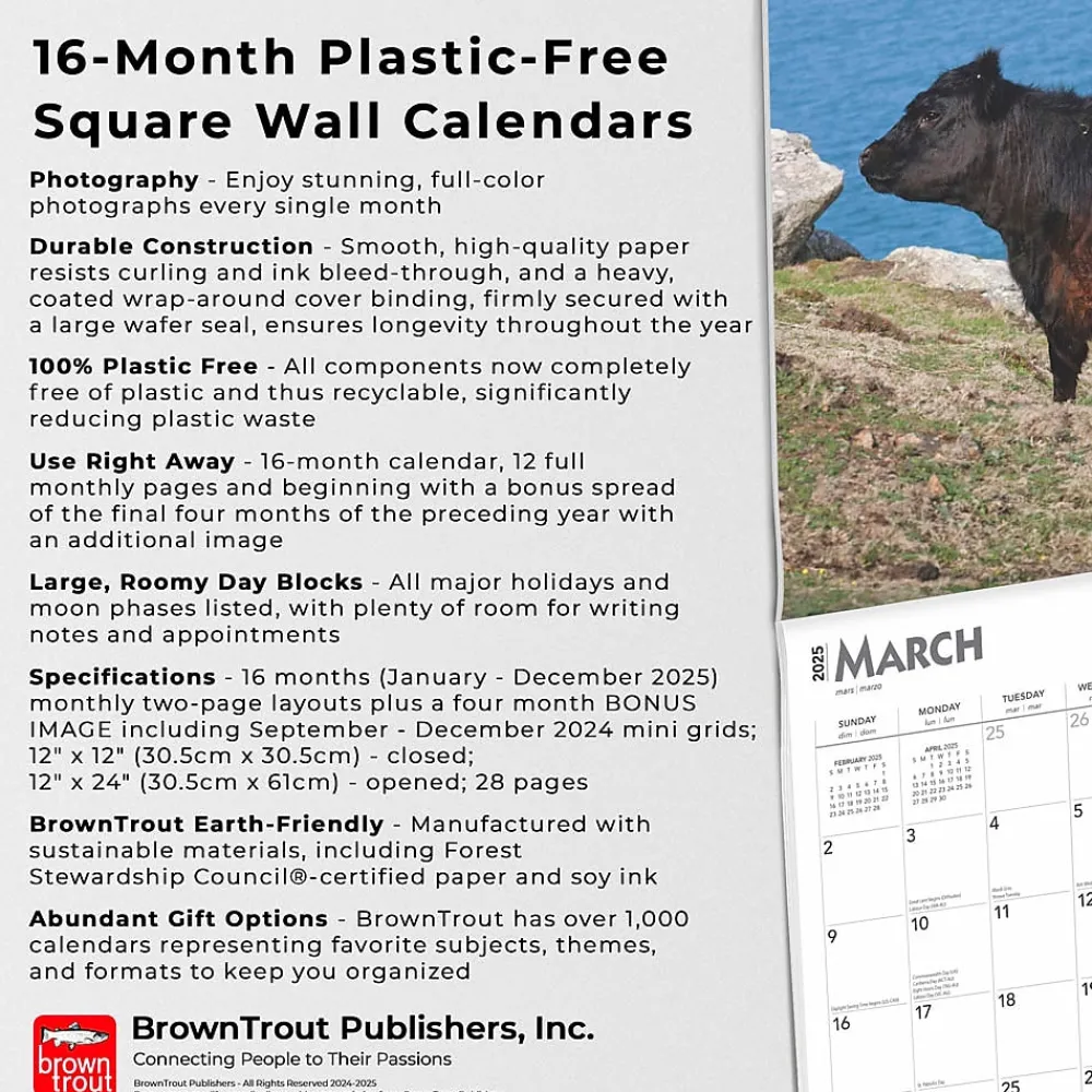 2025 Calendars|BrownTrout 2025 Cows 12" x 12" Monthly Wall Calendar (9781975476892)