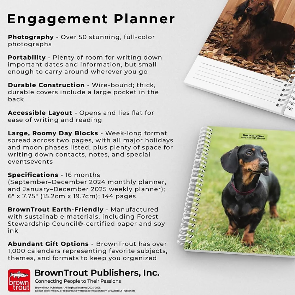 2025 Planners|BrownTrout 2025 Dachshunds 6" x 7.75" Weekly Engagement Planner, Paper Cover, Multicolored (9781975473174)