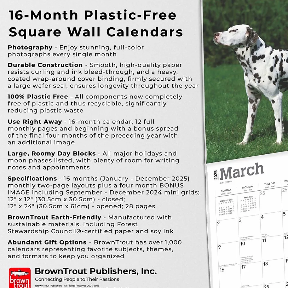 2025 Calendars|BrownTrout 2025 Dalmatians 12" x 24" Monthly Square Wall Calendar, (9781975478117)