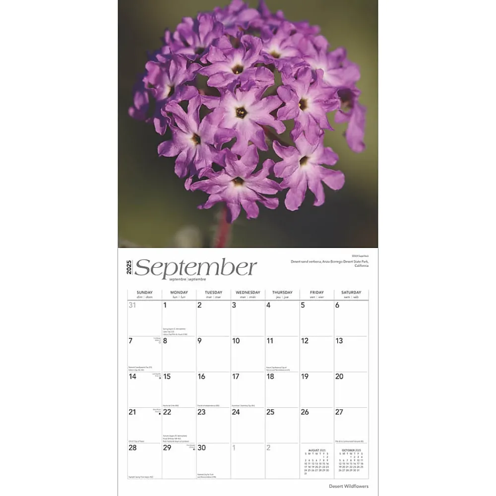 2025 Calendars|BrownTrout 2025 Desert Wildflowers 12" x 12" Monthly Wall Calendar (9781975476014)