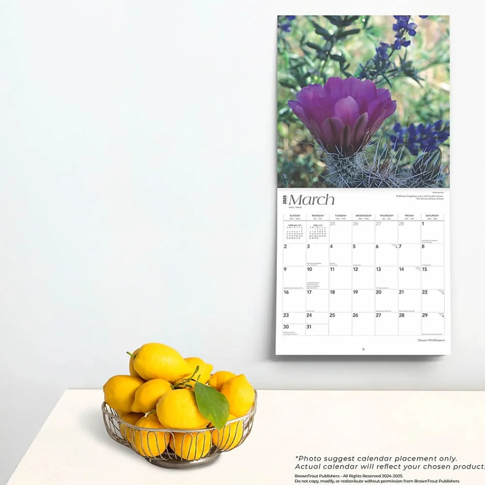 2025 Calendars|BrownTrout 2025 Desert Wildflowers 12" x 12" Monthly Wall Calendar (9781975476014)