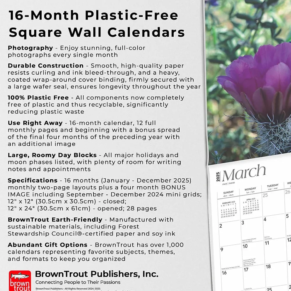 2025 Calendars|BrownTrout 2025 Desert Wildflowers 12" x 12" Monthly Wall Calendar (9781975476014)