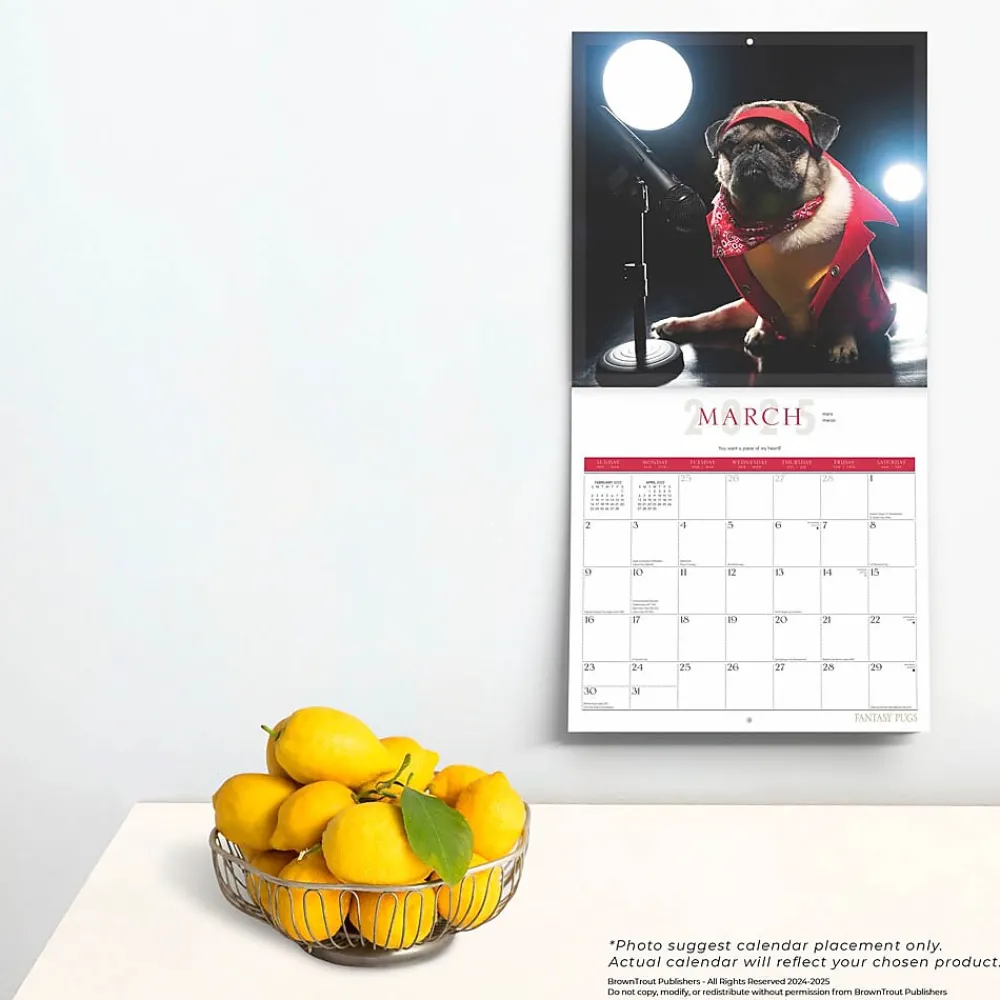 2025 Calendars|BrownTrout 2025 Fantasy Pugs 12" x 12" Monthly Square Wall Calendar (9781975479824)