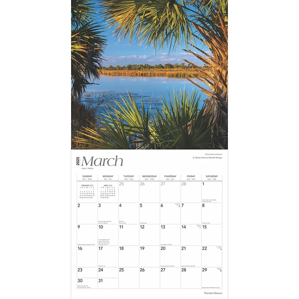 2025 Calendars|BrownTrout 2025 Florida Nature 12" x 24" Monthly Square Wall Calendar, (9781975474805)