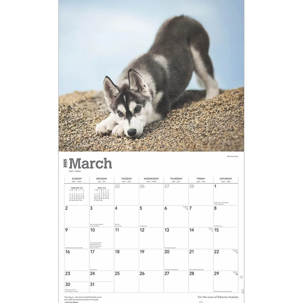 2025 Calendars|BrownTrout 2025 For the Love of Siberian Huskies 7" x 12" Monthly Wall Calendar (9781975473082)