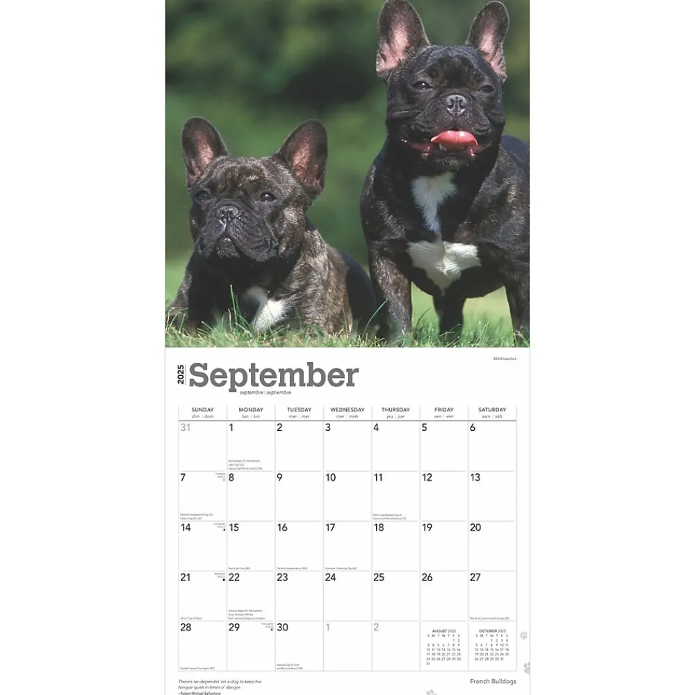 2025 Calendars|BrownTrout 2025 French Bulldogs 12" x 12" Monthly Square Wall Calendar (9781975476984)