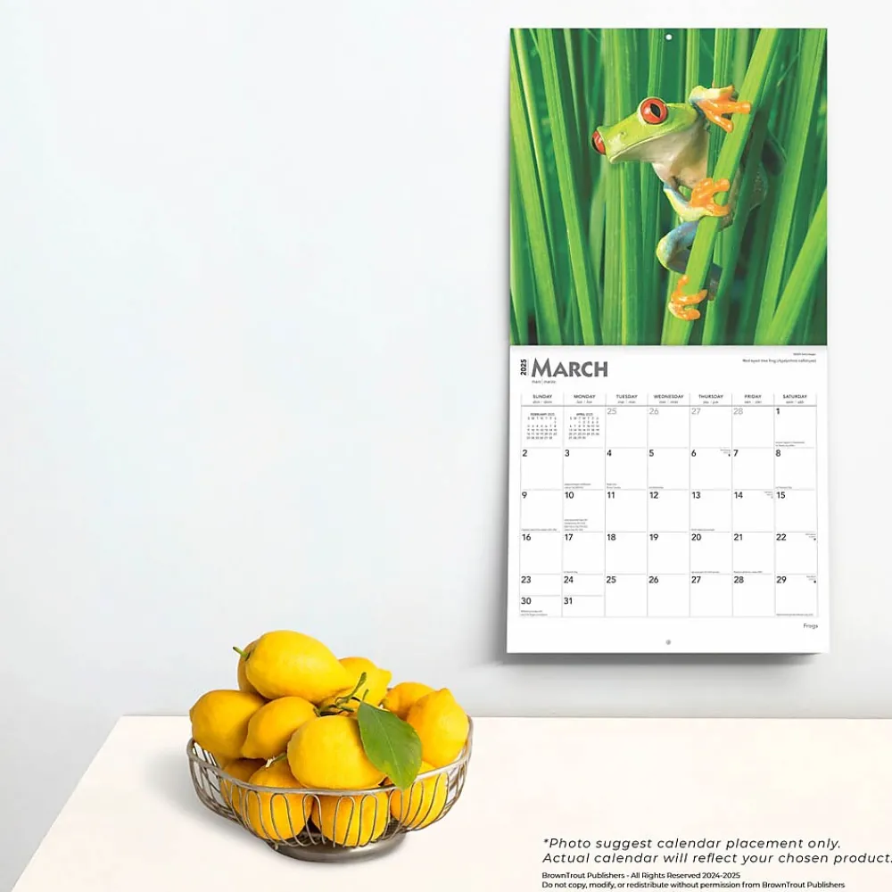 2025 Calendars|BrownTrout 2025 Frogs 12" x 24" Monthly Square Wall Calendar (9781975476991)