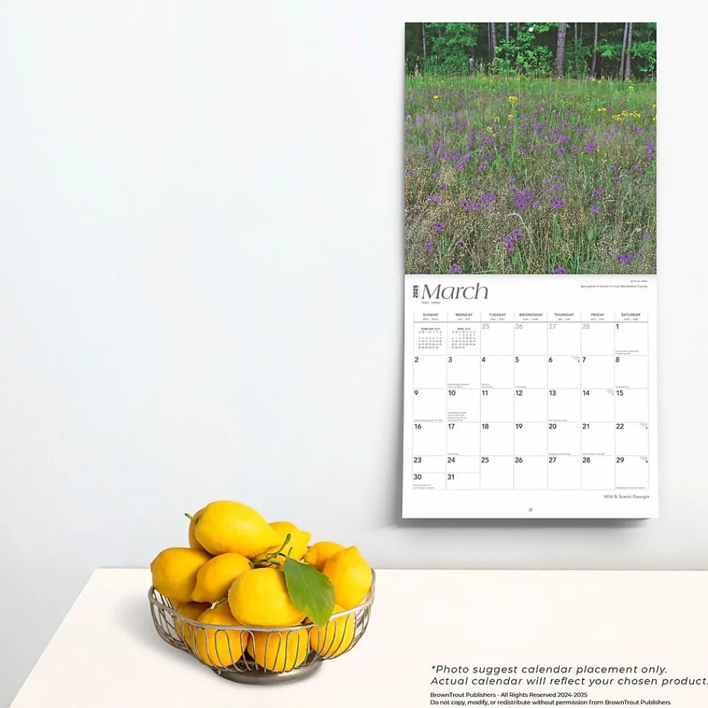2025 Calendars|BrownTrout 2025 Georgia Wild & Scenic 12" x 12" Monthly Square Wall Calendar (9781975474836)