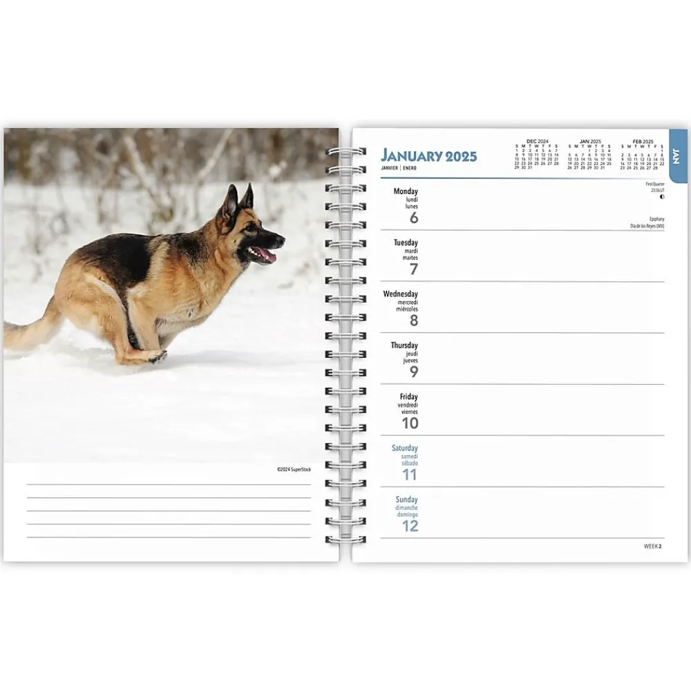 2025 Planners|BrownTrout 2025 German Shepherds 6" x 7.75" Weekly Engagement Planner, Paper Cover, Multicolored (9781975473143)