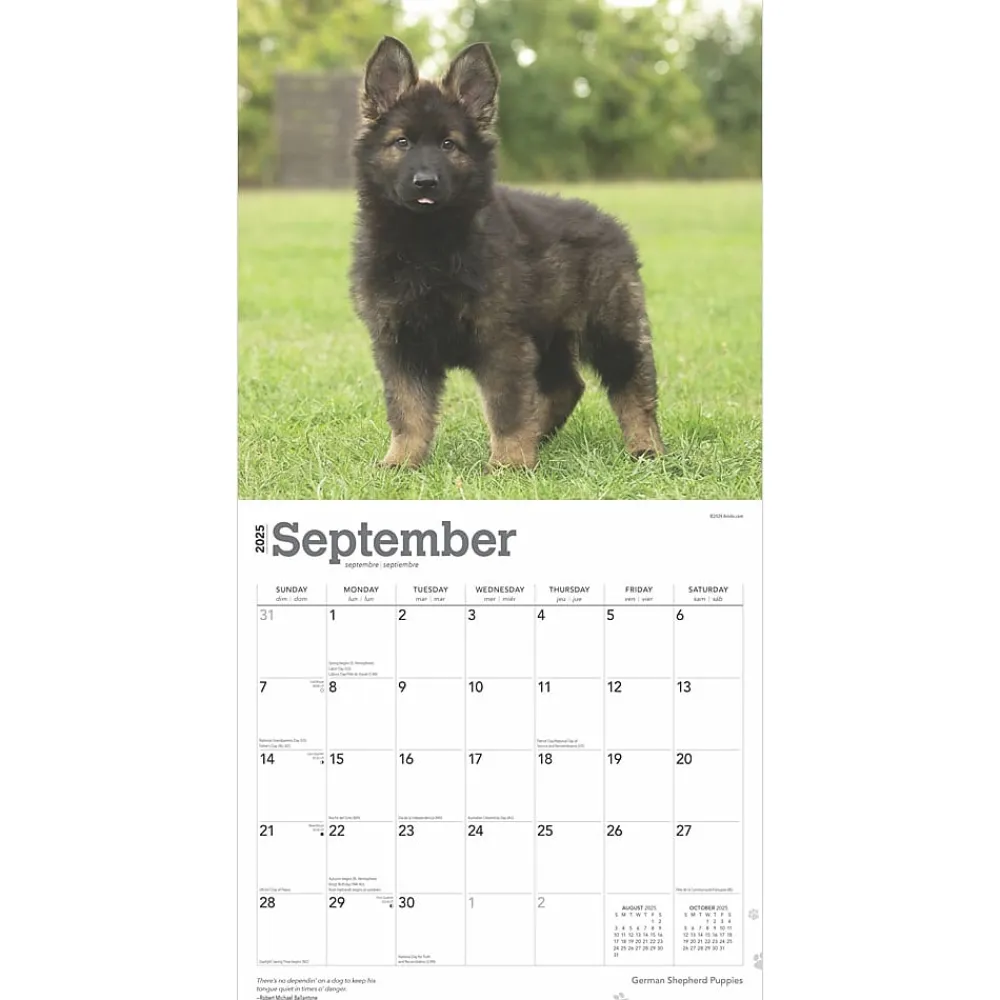 2025 Calendars|BrownTrout 2025 German Shepherd Puppies 12" x 12" Monthly Square Wall Calendar (9781975477004)