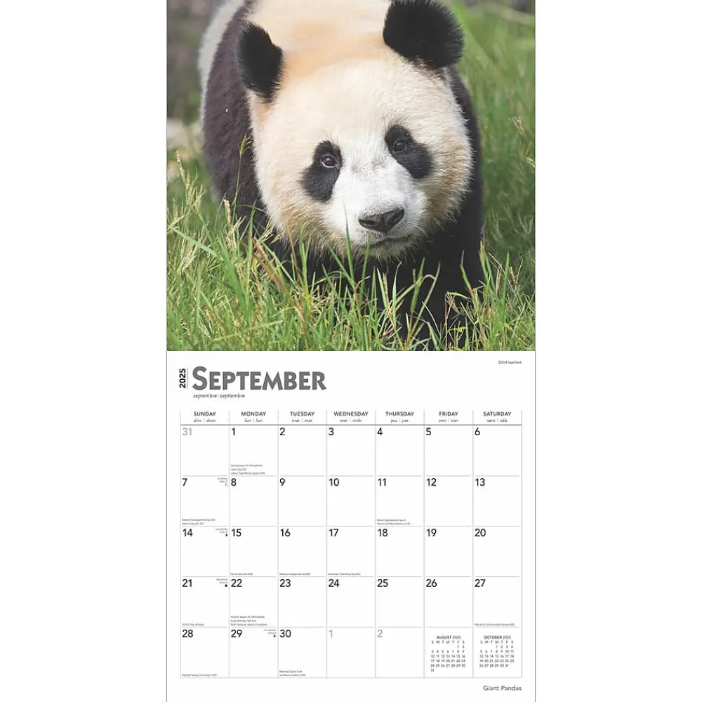 2025 Calendars|BrownTrout 2025 Giant Pandas 12" x 12" Monthly Wall Calendar (9781975474843)