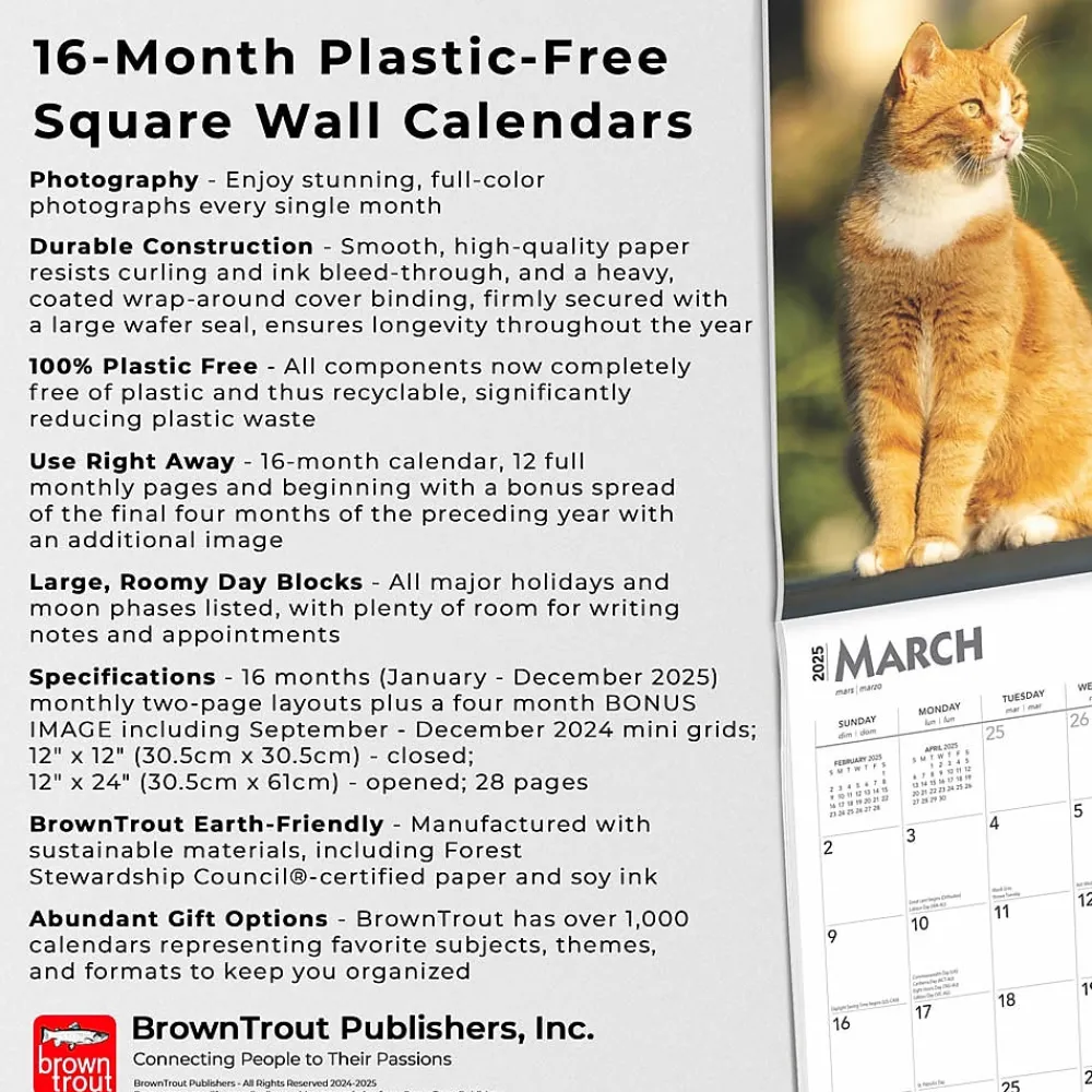 2025 Calendars|BrownTrout 2025 Ginger Cats 12" x 12" Monthly Wall Calendar (9781975477035)