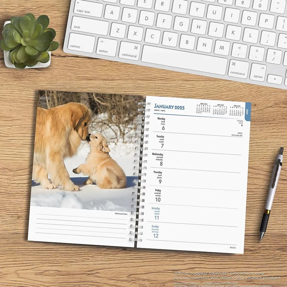 2025 Planners|BrownTrout 2025 Golden Retrievers 6" x 7.75" Weekly Engagement Planner, Paper Cover, Multicolored (9781975473150)