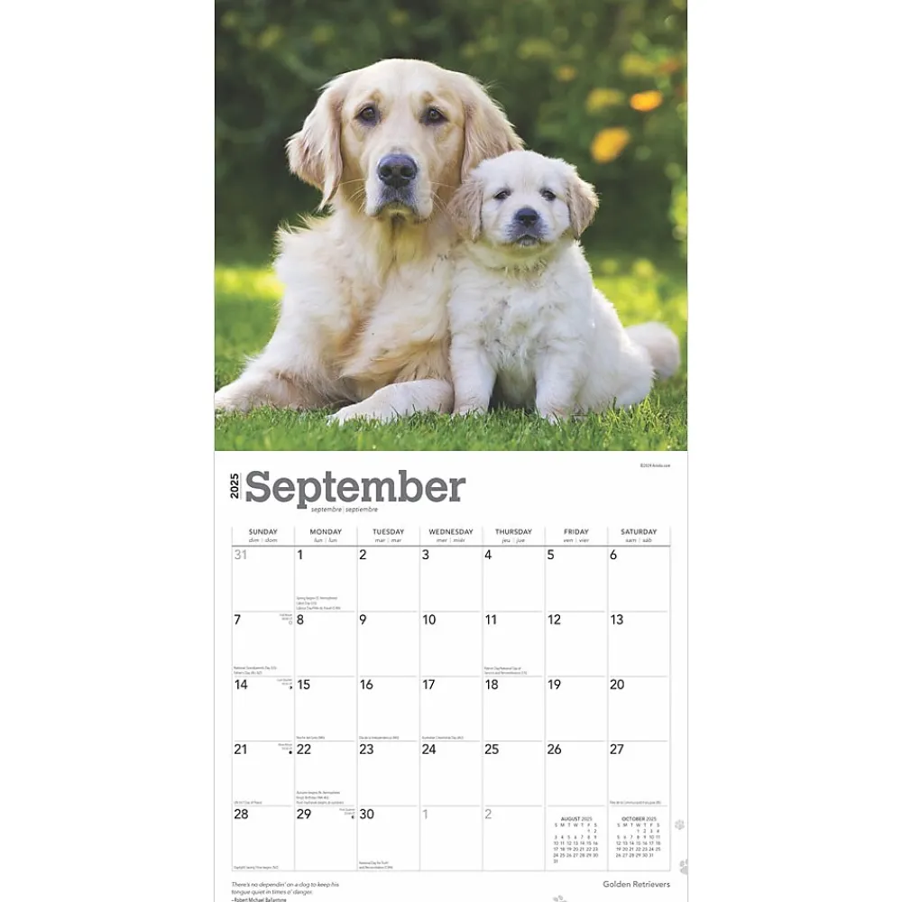 2025 Calendars|BrownTrout 2025 Golden Retrievers 12" x 12" Monthly Square Wall Calendar (9781975477073)
