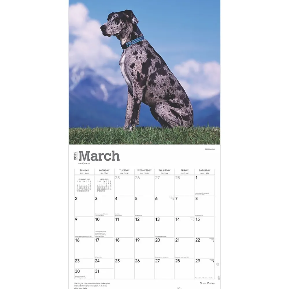 2025 Calendars|BrownTrout 2025 Great Danes 12" x 12" Monthly Square Wall Calendar (9781975477103)